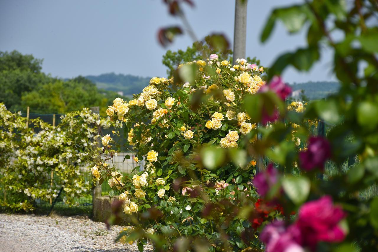 Agriturismo Panorama Salionze Exterior photo